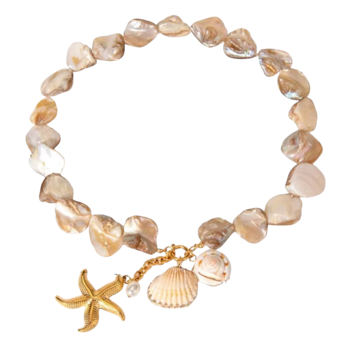 Astro Shell Collar