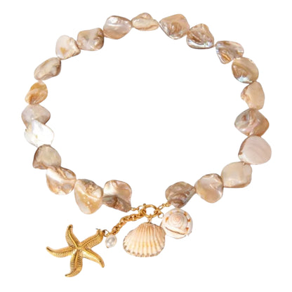 Astro Shell Collar
